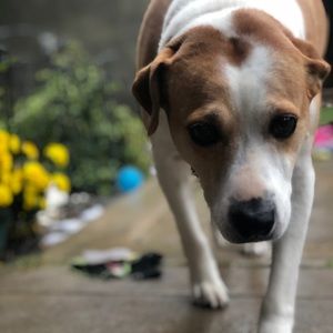 Meet your Posher, Jenn